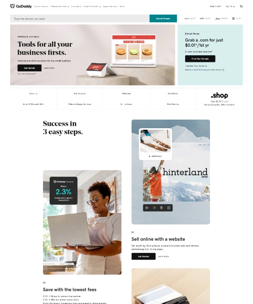 GoDaddy - (clone) project preview