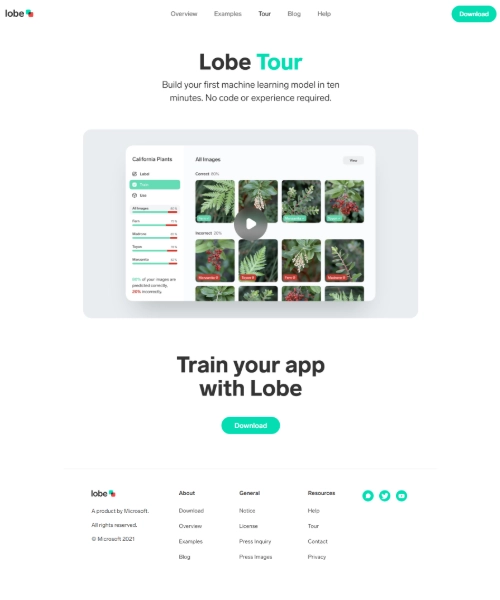 Lobe - (clone) project preview